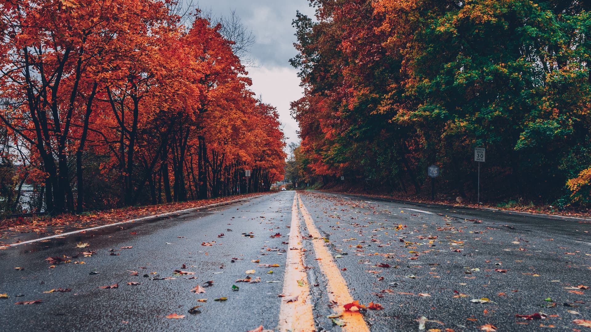 Yellow lines on two lane road with fall trees and wet leaves on the road